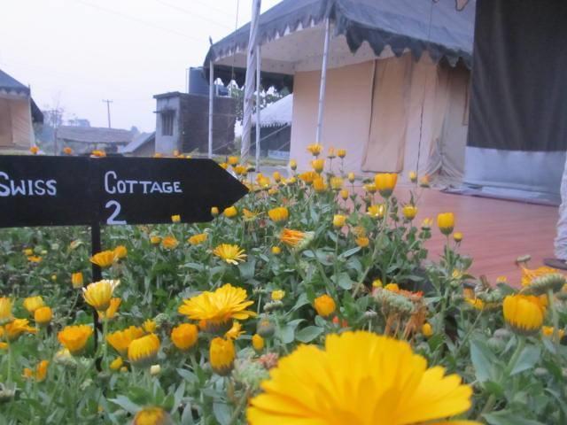 Derra Camp And Resort Jhājra Buitenkant foto